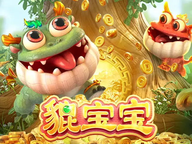 貔宝宝